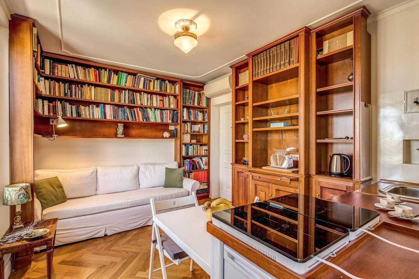 Attic With Terrace Overlooking St Peters Basilica Lejlighed